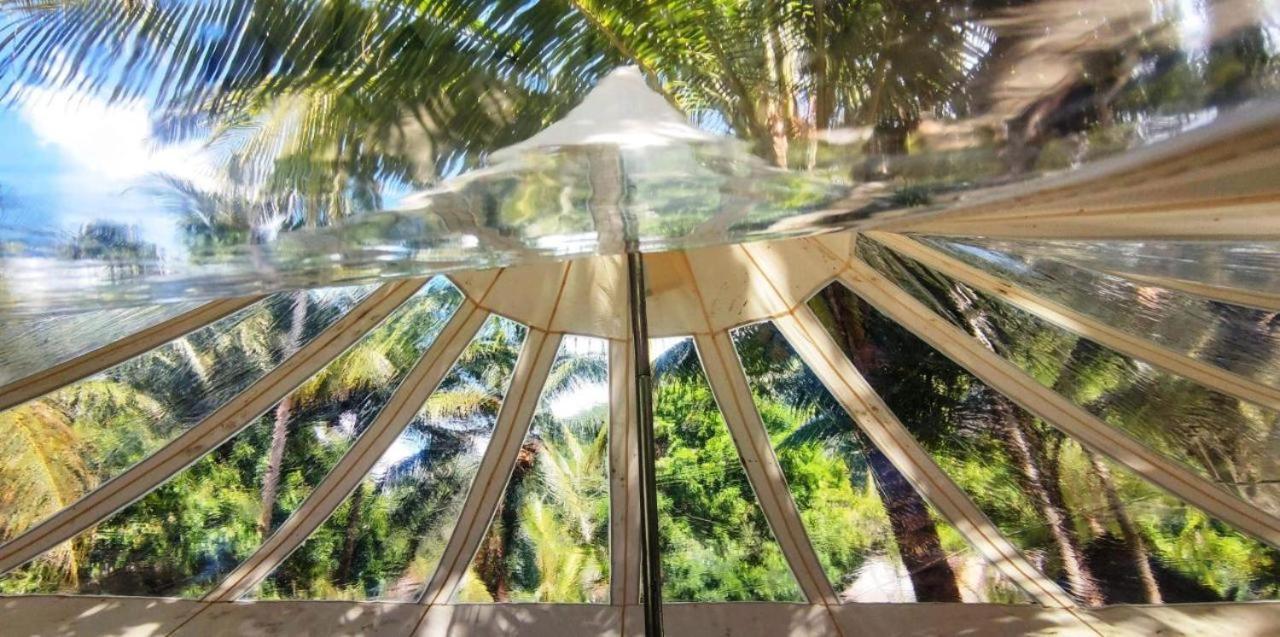 Firesky Glamping Ocam Ocam Beach New Busuanga Eksteriør bilde