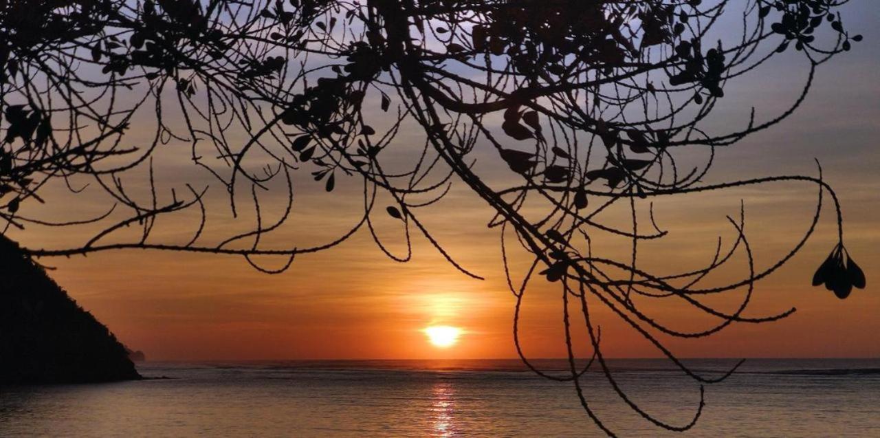 Firesky Glamping Ocam Ocam Beach New Busuanga Eksteriør bilde